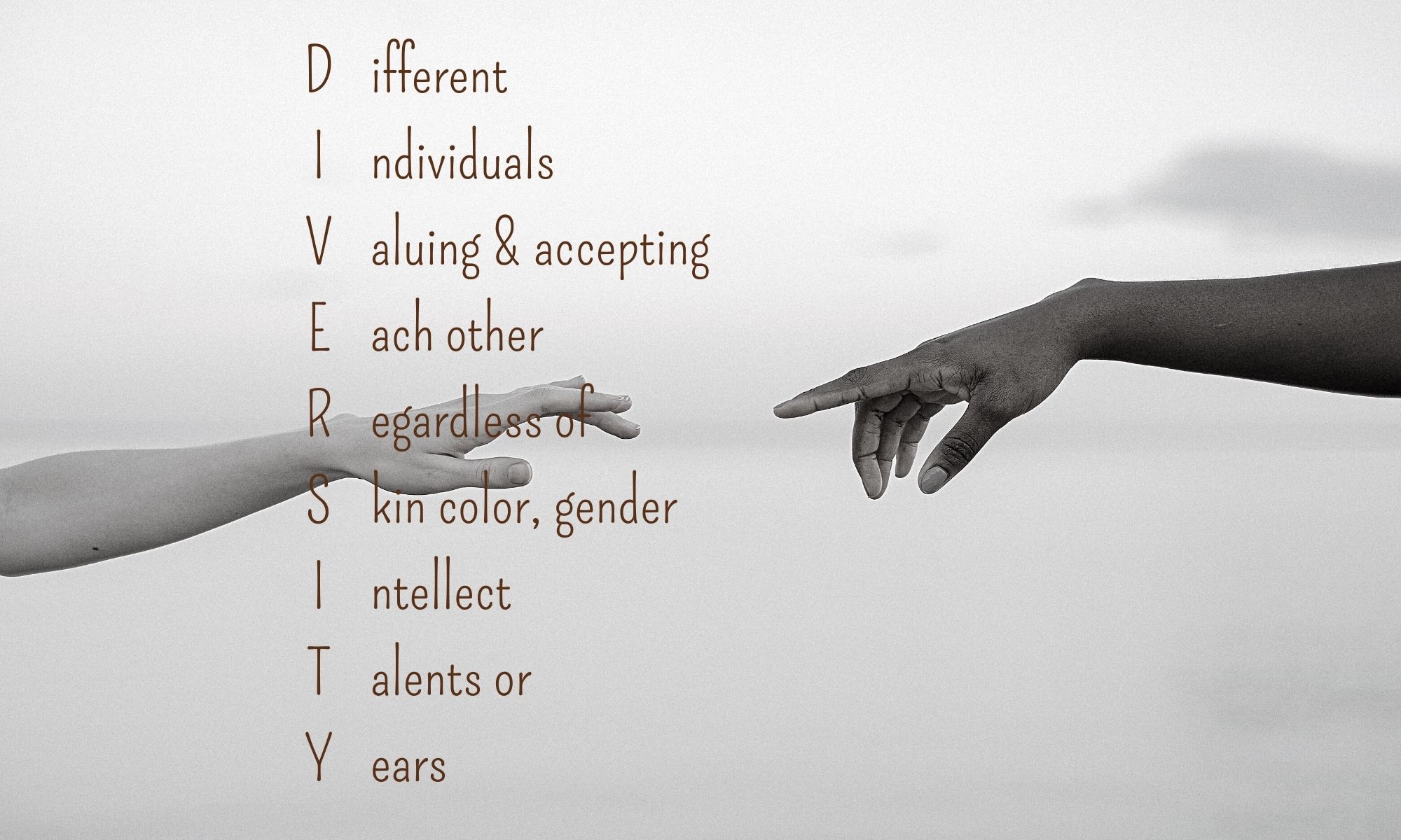 Background Image DIVERSITY B&W